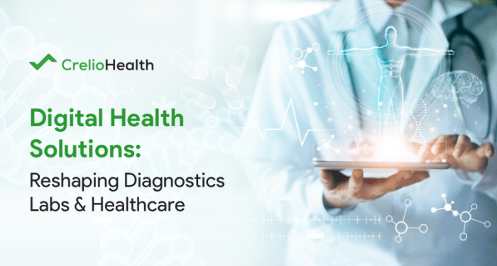 Healthcare Revolutionization: The Significance of Digital Health Solutions