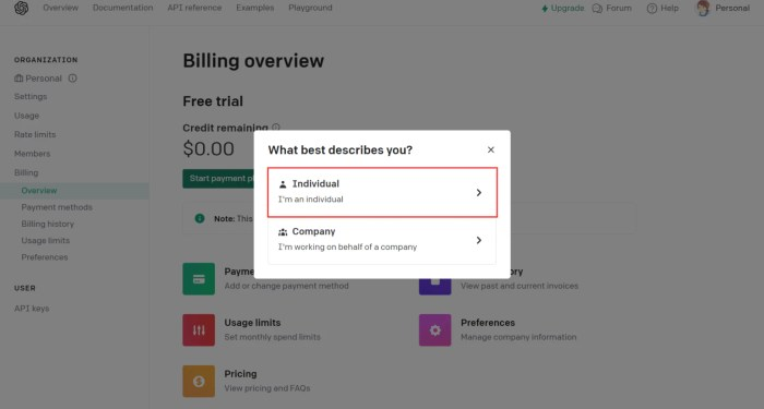 【OpenAI API】エラー[You exceeded your current quota, please check your plan ...