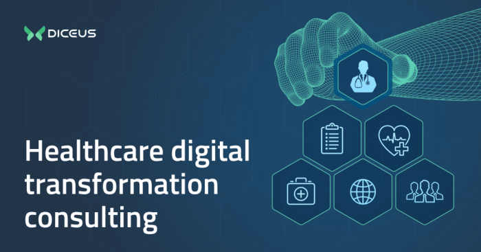 Healthcare Digital Transformation Consulting Company - DICEUS